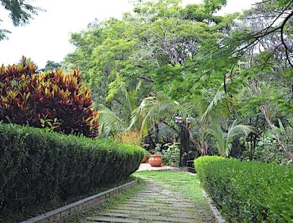 unidade-feminina-nova-reabilitacao-06