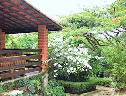 unidade-feminina-nova-reabilitacao-12